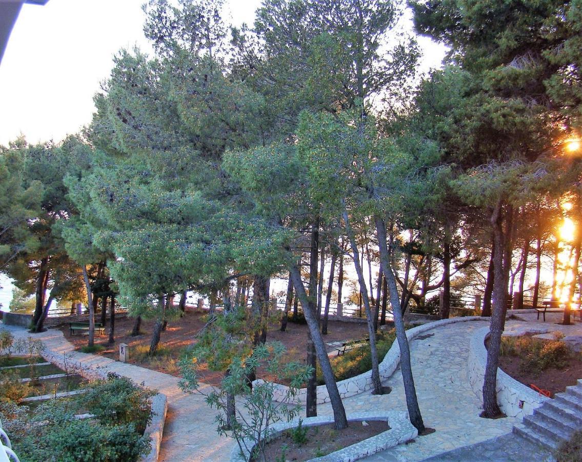 Apartment Lavica Podstrana