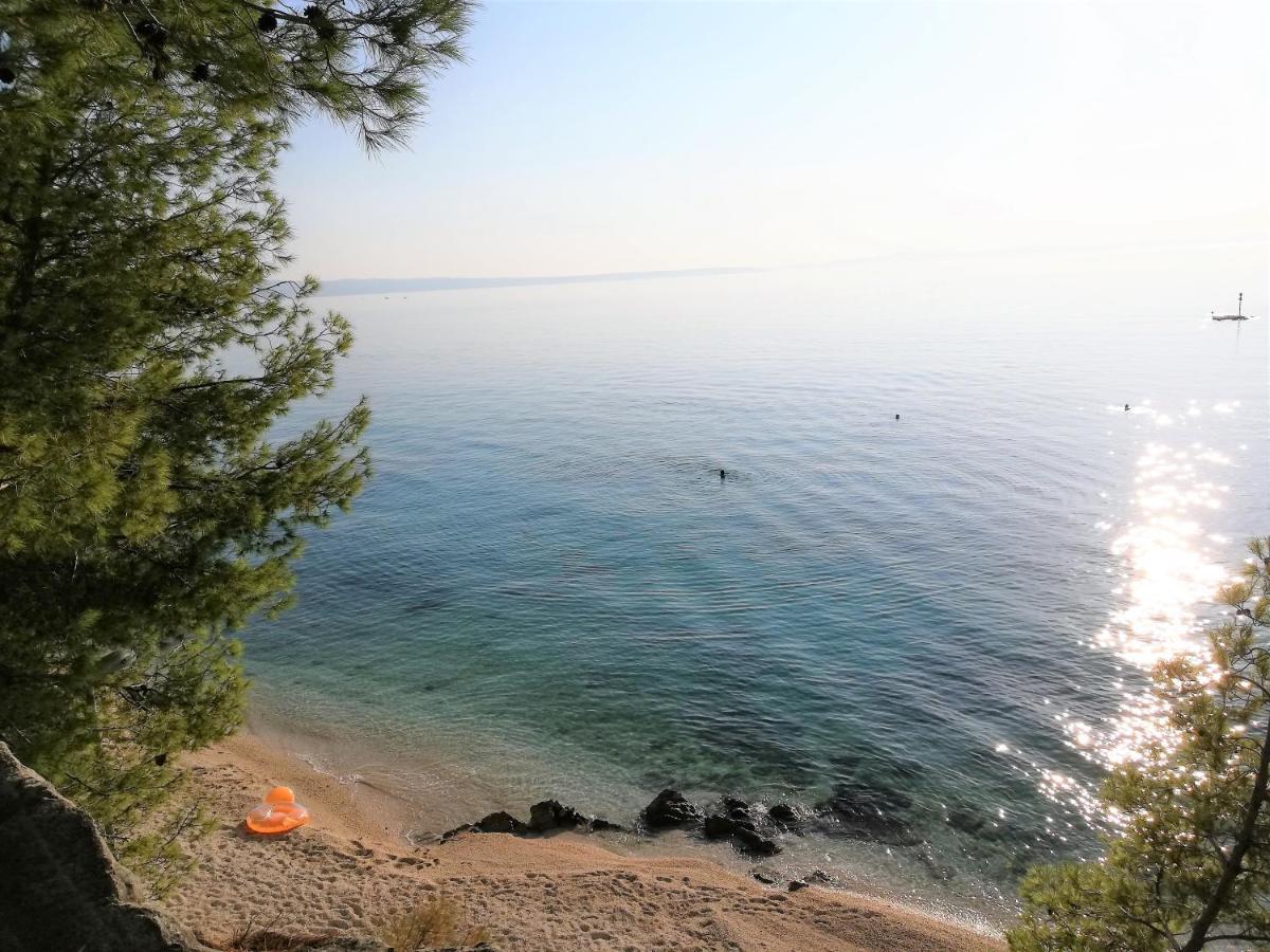 Apartment Lavica