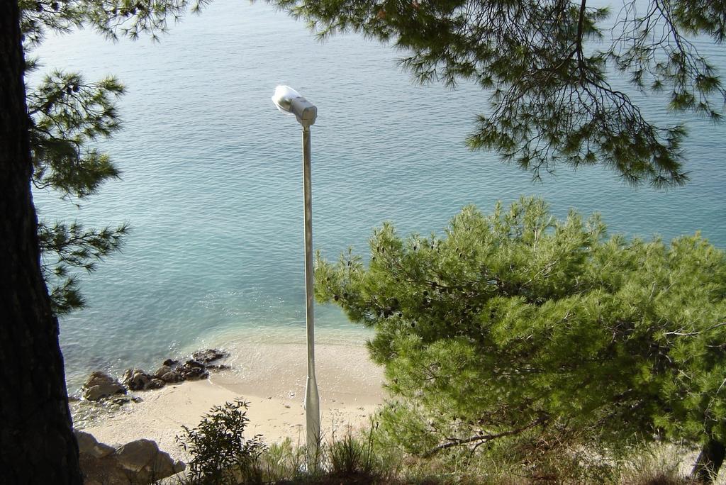 Apartment Lavica *