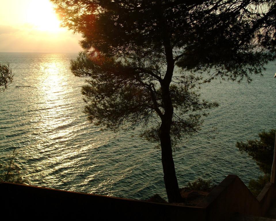 Lavica Apartment *